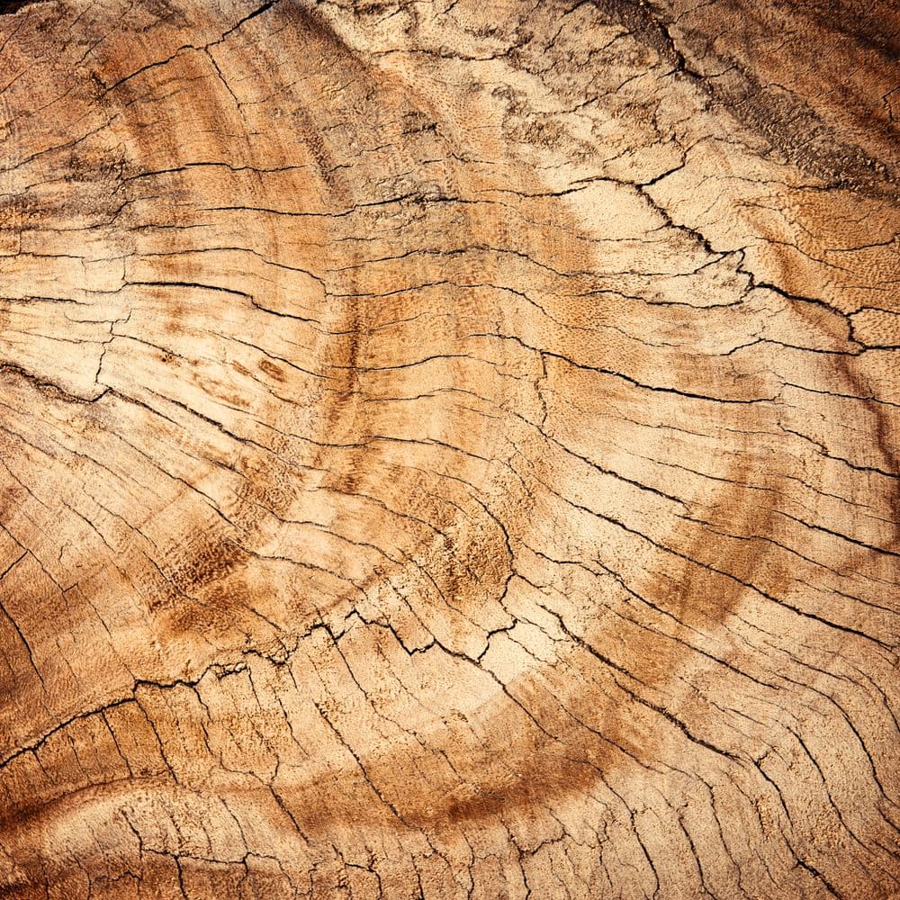 African Teak wood grain sample
